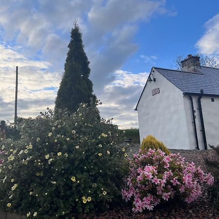 Dans Wee Cottage Slieve Croob Dromara Castlewellan Newcastle Εξωτερικό φωτογραφία