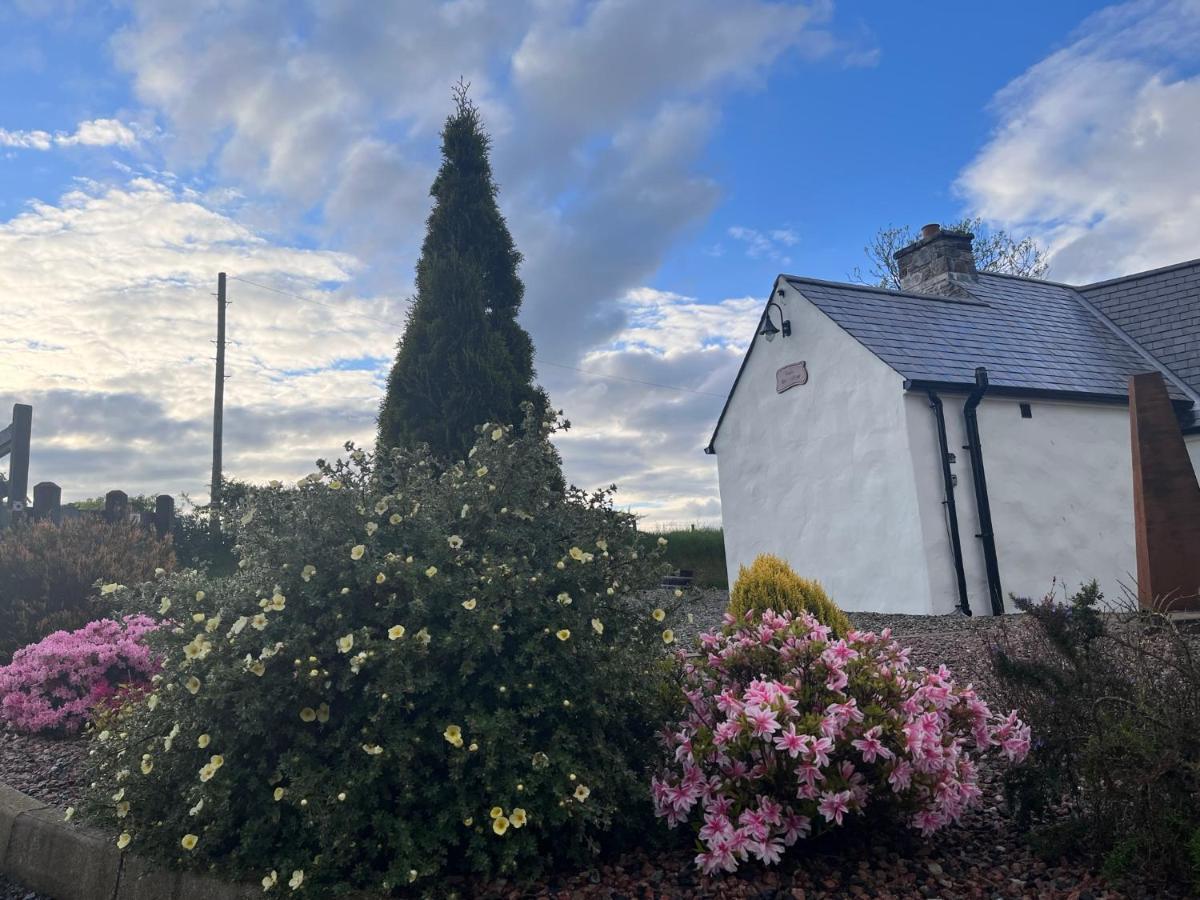 Dans Wee Cottage Slieve Croob Dromara Castlewellan Newcastle Εξωτερικό φωτογραφία
