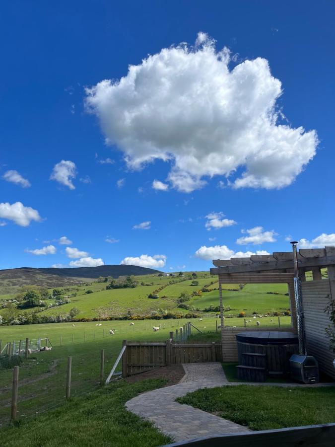 Dans Wee Cottage Slieve Croob Dromara Castlewellan Newcastle Εξωτερικό φωτογραφία