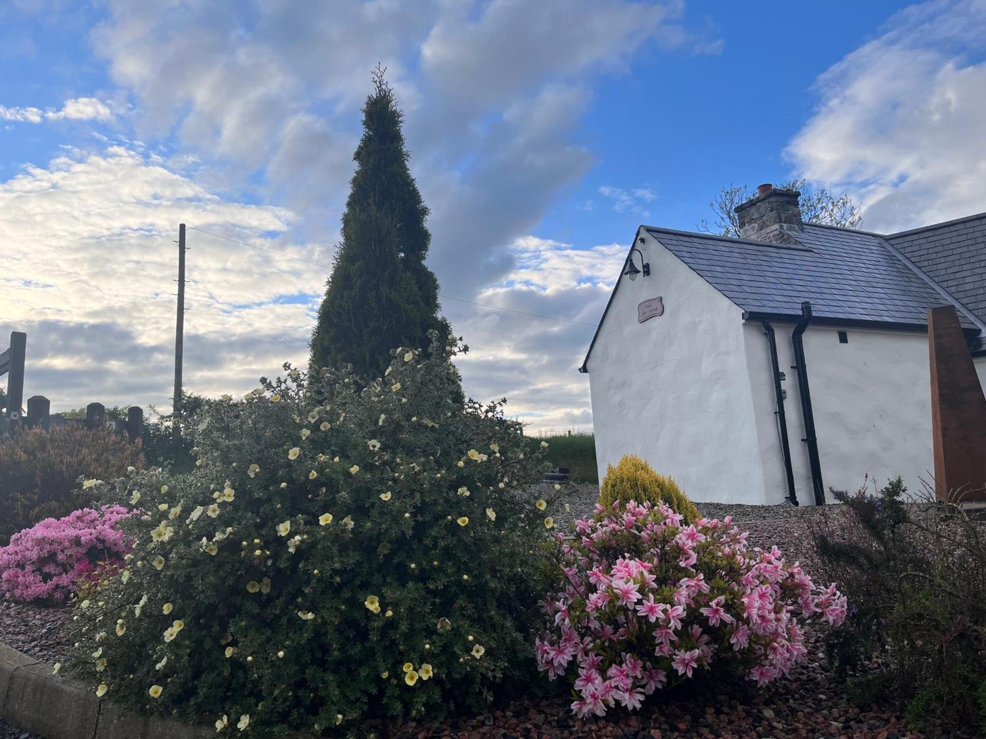 Dans Wee Cottage Slieve Croob Dromara Castlewellan Newcastle Εξωτερικό φωτογραφία